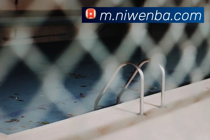 nba投注网站平台生态图